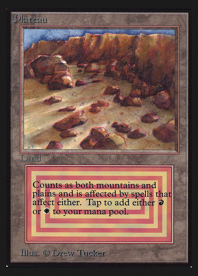 Platter [Collectors' Edition]